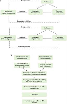 The causal relationship between gut microbiota and alopecia areata: a Mendelian randomization analysis